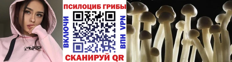 Купить где  Меленки  Галлюциногенные грибы прущие грибы 
